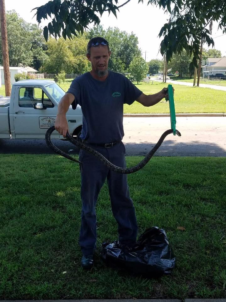 Snake and wildlife removal